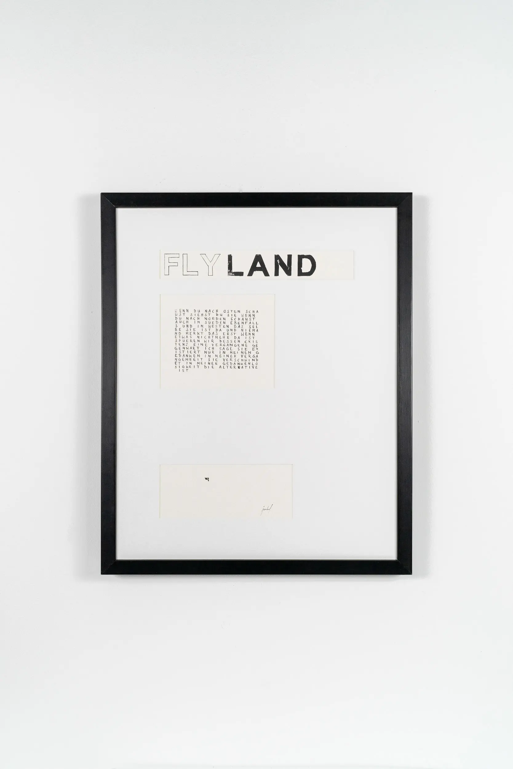 FL04 Flyland 40 × 50 cm Papier / Tusche / Holzdruck / Fliegenhaut 2013 