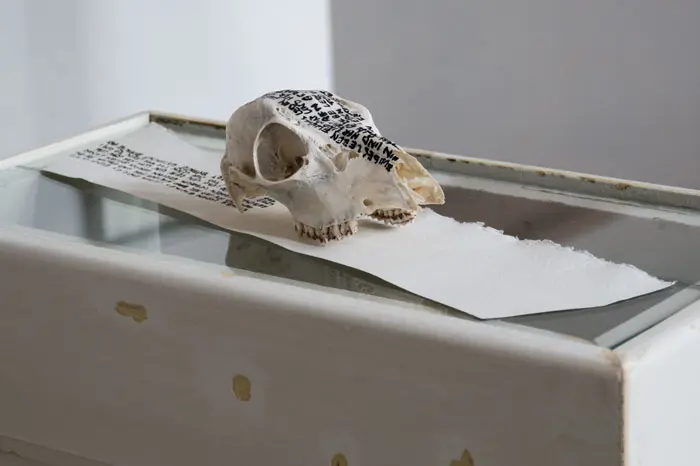 SiL16 Hin und Her ca. 40 × 15 × 10 cm Knochen / Papier / Tusche / Text 2013 4 Knochen – Stein – Papier 