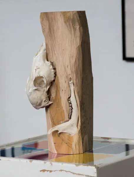 SiL27 Knospe ca. 40 × 16 × 16 cm Knochen / Holz / Graphit / Text 2013 4 Knochen – Stein – Papier 
